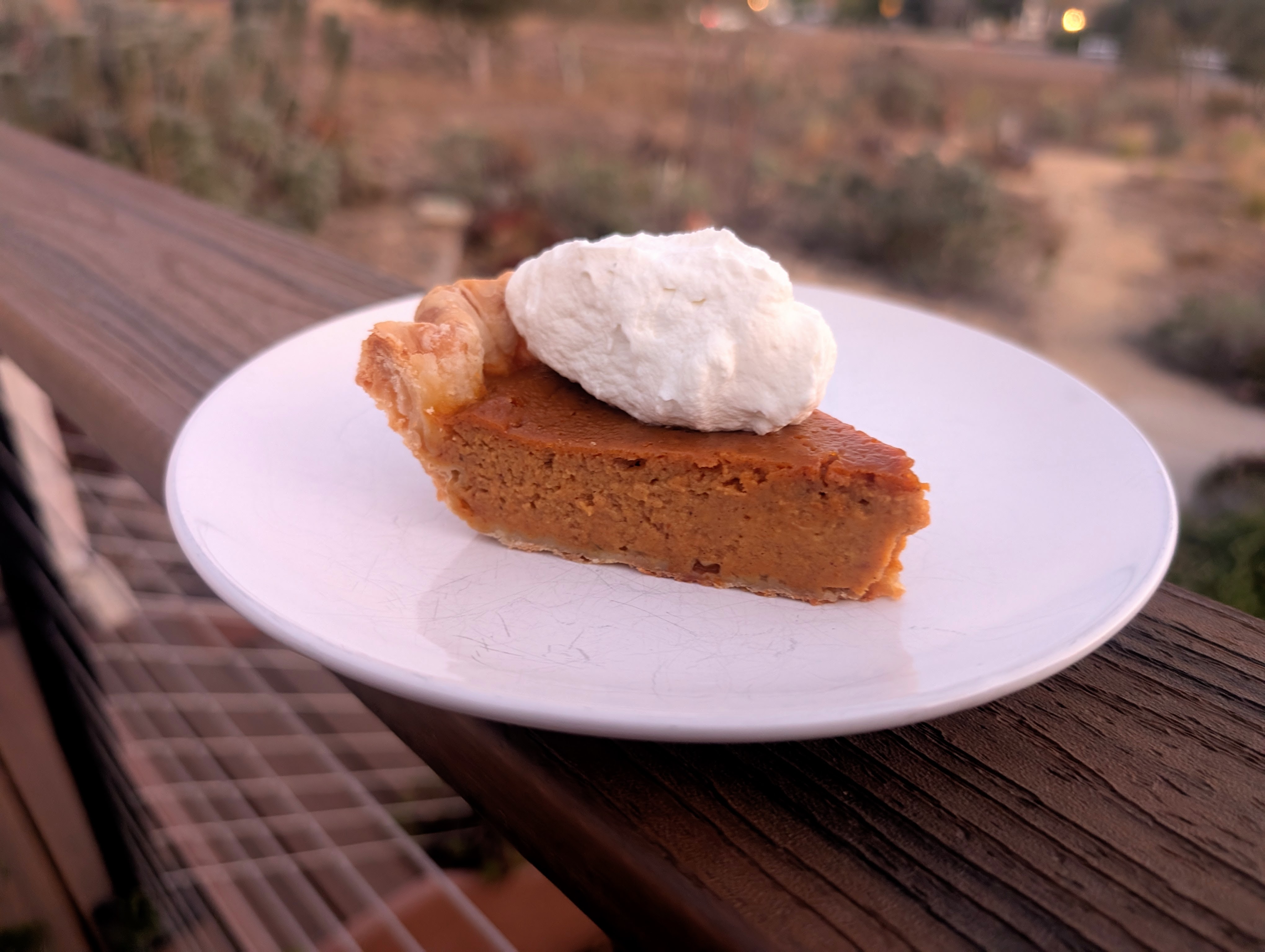 image from Pumpkin Pie